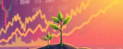 The Allure of Small Caps: Untapped Growth Potential